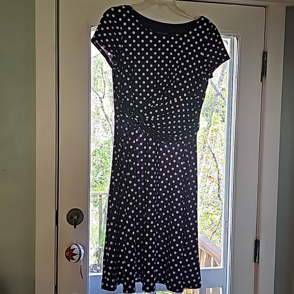 Perceptions Dress, Small